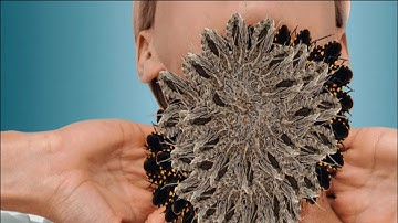 Deep Cleaning Animation ASMR—Removing Ticks, Maggots & Insects From Neck (Satisfying & Relaxing)