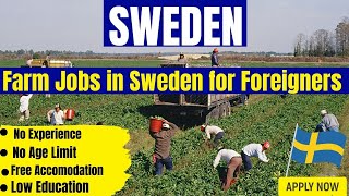 Farm Jobs in Sweden for Foreigners| Dairy Farm jobs in Sweden| Visa sponsorship Jobs