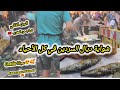 شواية الحوت فابور والأجواء زوينة فسانتورتزي تلاقيت مع شباب رائعين فـ الجزء الثاني شواية الحوت فابور والأجواء زوينة فسانتورتزي تلاقيت مع شباب رائعين فـ الجزء الثاني