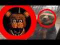 Top 5 fnaf sightings