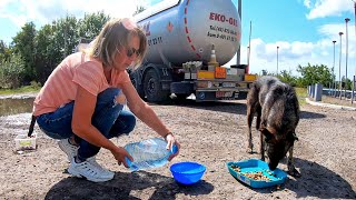 Try to Watch it Without Crying... Begging Dog from Gas Station got some Help Today