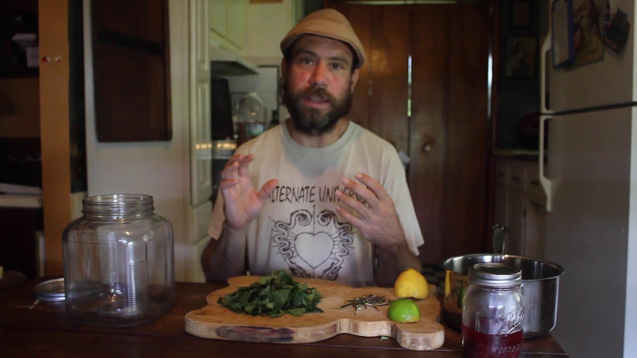 How to Make a Healing Herbal Beer with Spicebush