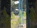 অসাধারণ ভিডিও