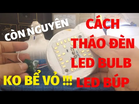 Video: 5 cách để thoát khỏi ruồi giấm