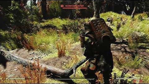 The Forest Region Object Random Encounter Hotspot #08 - Fallout 76