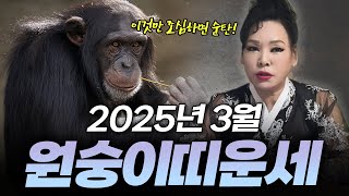 2025년 을사년 양력 3월 원숭이띠 운세 | 92년생 80년생 68년생 56년생