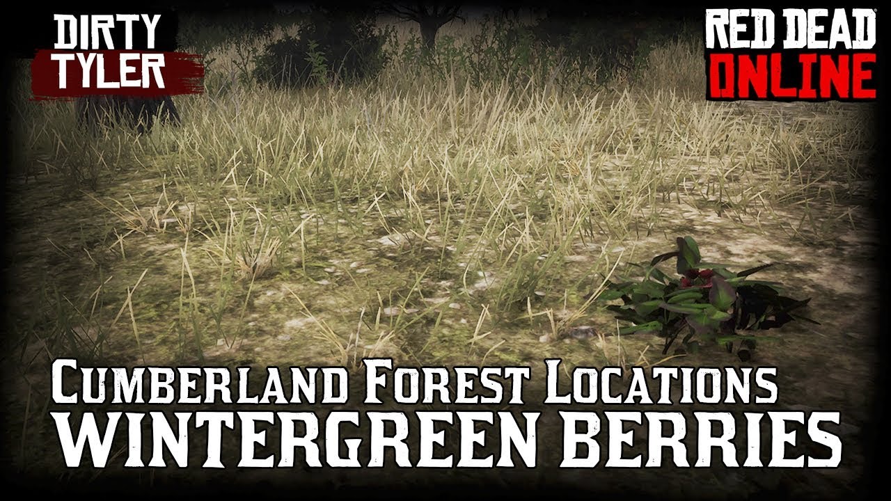 Wintergreen berry locations wintergreen berries RDR2 Red Dead Online 
