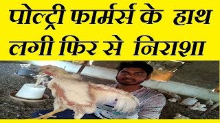 फरमरस क हथ लग फर स नरश Poultry And Egg Rate Updates Daily