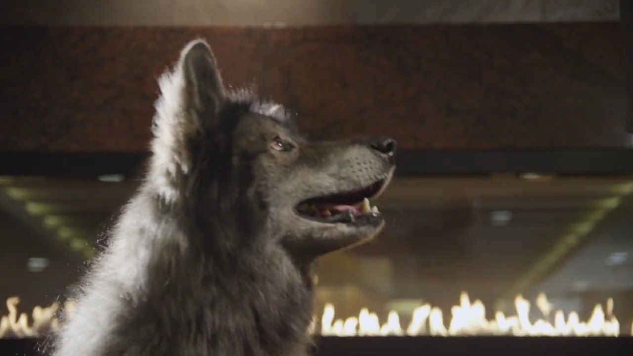 lone-wolf-restaurant-lounge-at-jackson-rancheria-casino-resort-youtube