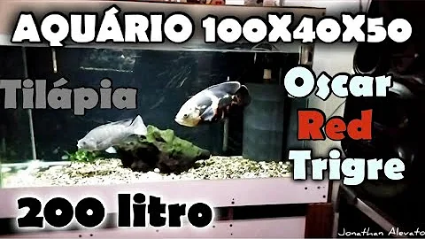 Quantos peixes pequenos podem ser colocados em um aquário de 200 litros?