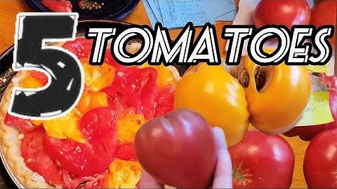 A Couple Keepers! 🍅 🍅 Taste Testing Tomato Varieties