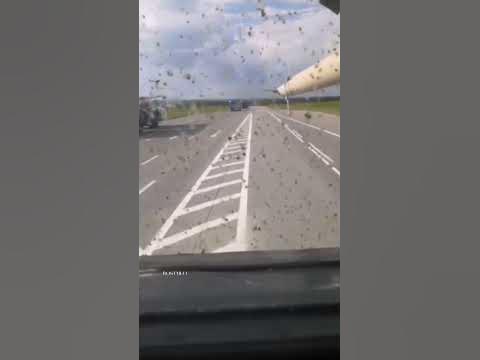 Буква "Ю" - YouTube