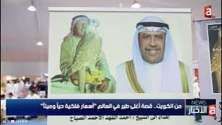 من الكويت.. قصة أغلى طير في العالم 