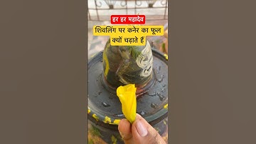 शिवलिंग पर कनेर का फूल क्यों चढ़ाते हैं #kaner #shivling #mahadev #shivmahapurankatha #pradeepmishra