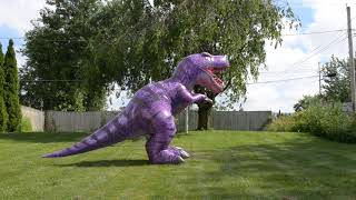 Inflatable T-Rex - Outdoors