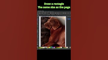 Inkscape: Crop Image to Page Size in 60 Seconds!