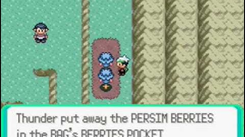 Pokemon Emerald Adventures Part 33 Path to Meteor Falls