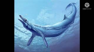Basilosaurus sounds effects