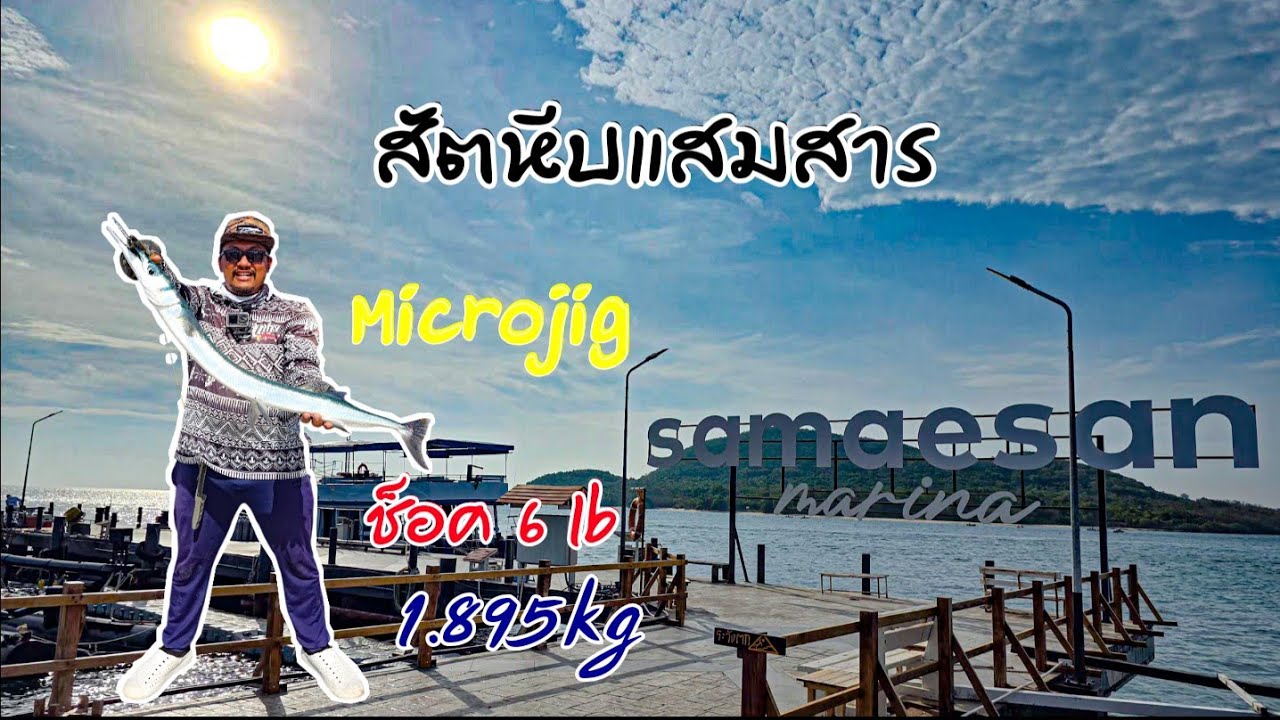 ช่วงนี้มีแต่ปลาฟันคม Light game วิ่งเป็นจรวดเลย #แสมสาร #สัตหีบ