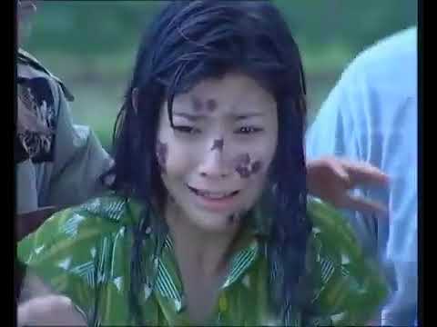Dongeng - Si Itik Buruk Rupa