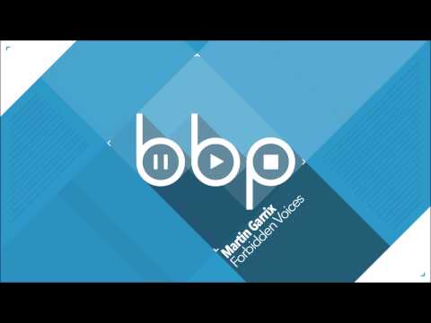 Martin Garrix - Forbidden Voices (Original Mix)