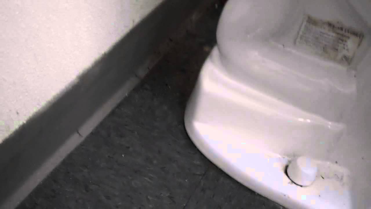 4057: Newer Toto Floor Mounted Toilet 6 - YouTube