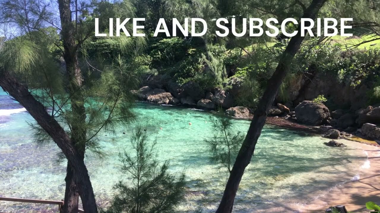 Eco-Friendly  Stylish Storage Wooden Crates for Home - A Rustic Décor Idea