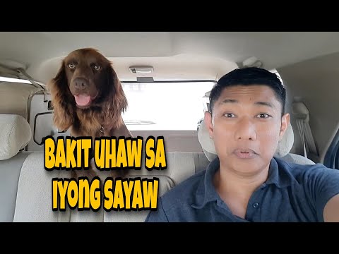 ang alaga kong epal sa camera