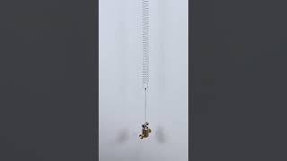 Wilberforce Pendulum