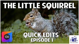 EP1 - The Little Squirrel - ON1 Quick Photo Edits screenshot 5