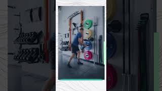 Weight Plate Storage Solutions How To Choose The Best Racks For Your Home Gym