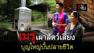 เมรุเผาสัตว์เลี้ยง บุญใหญ่บั้นปลายชีวิต | อีจัน EJAN by Ejan 924 views 2 days ago 3 minutes, 39 seconds