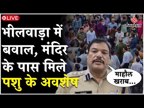 Bhilwara Violence Update Live: भीलवाड़ा में मचा बवाल,मंदिर के पास गोवंश के साथ दरिंदगी,जोरदार आक्रोश