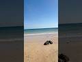 Sitapur Beach | Seethapur beach | Neil island | Andaman | Andaman and nicobar | Andaman Island