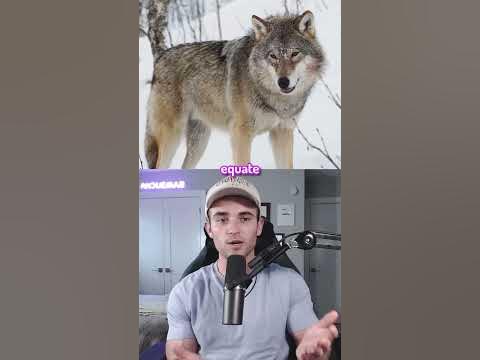 Things That Are Bigger Than You Think - YouTube