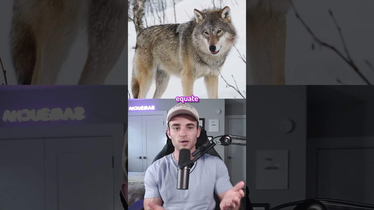 Things That Are Bigger Than You Think