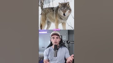 Things That Are Bigger Than You Think