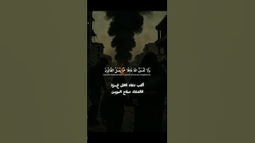 غزة تحت القصف… استمع وادعُ | القارئ إسلام صبحي