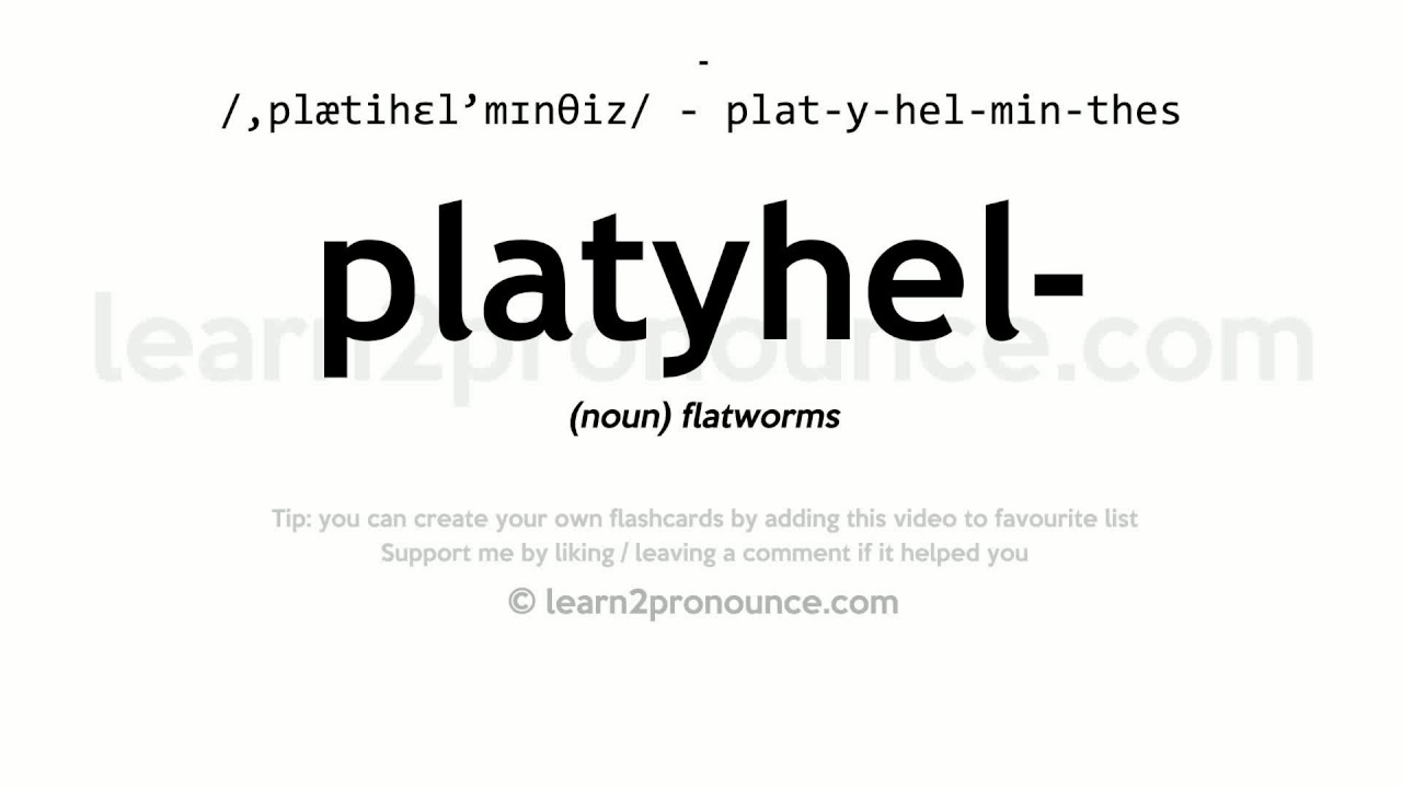 Pronunciation Of Platyhelminthes Definition Of Platyhelminthes YouTube