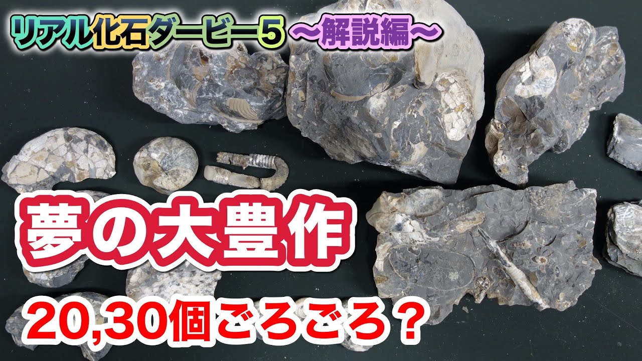 恐竜化石発掘チャレンジin北海道 Part 9-2《アンモナイト大豊作》【リアル化石ダービー５解説編】