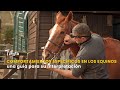 Comportamientos específicos en los equinos - TvAgro por Juan Gonzalo Angel