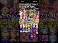 【朗報】近藤さんやっぱりフェルン編成で強い #パズドラ