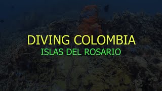 Diving Colombia - Islas del Rosario