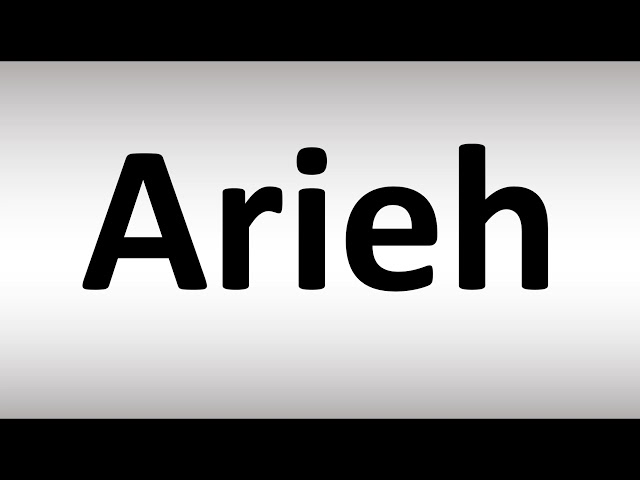 How to Pronounce Arieh class=