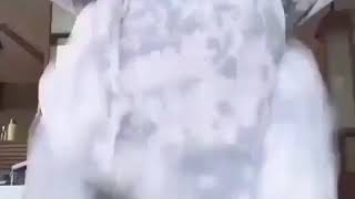 Jangan dilihat kak