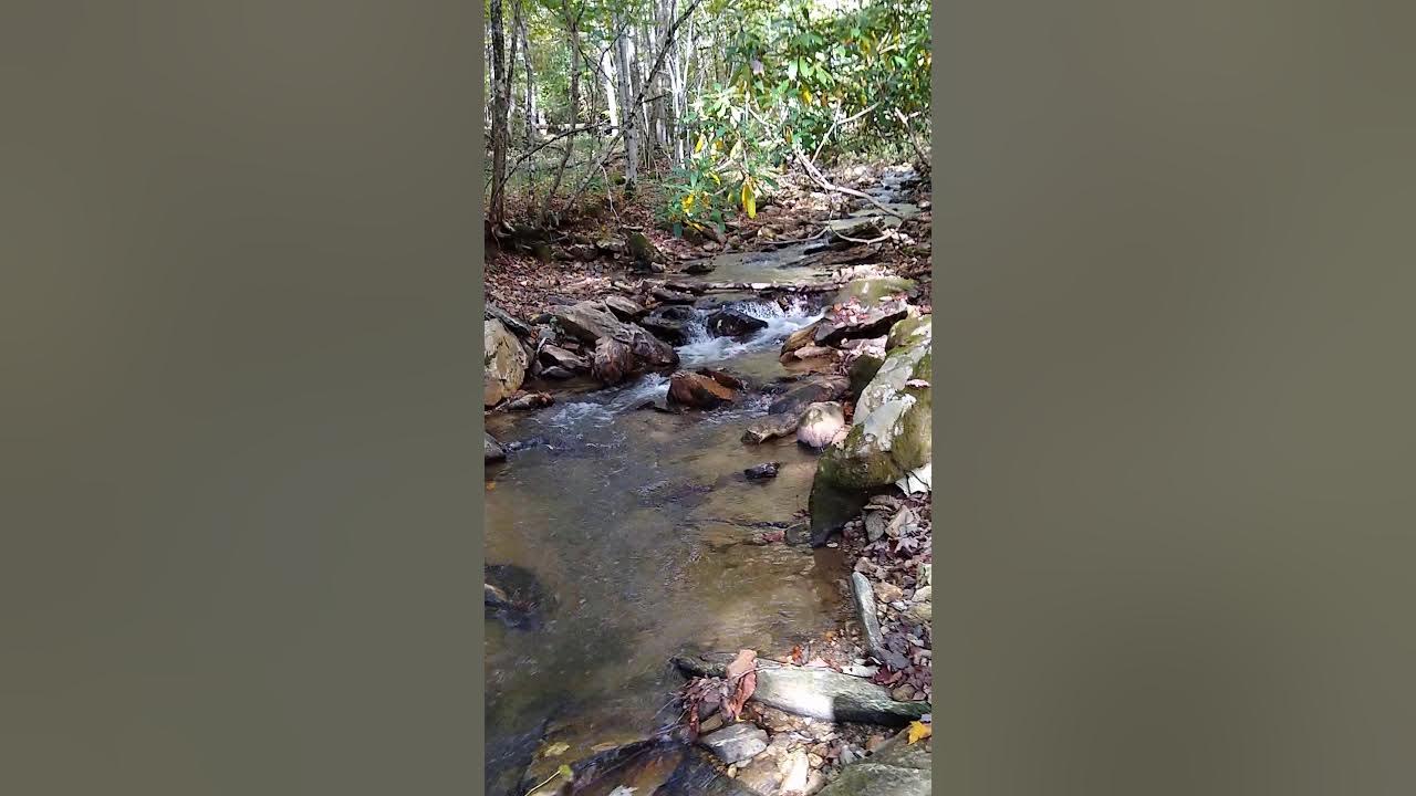 Wolf Laurel Branch, Wolf Laurel, Mars Hill, NC YouTube