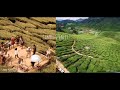 Huawei P30 Pro Dual View over Cameron Valley