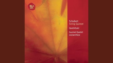 String Quartet No. 12, D.703 in C Minor "Quartettsatz": Allegro assai