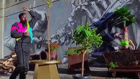 PLANT INTELLIGENCE - BIONIC FESTIVAL