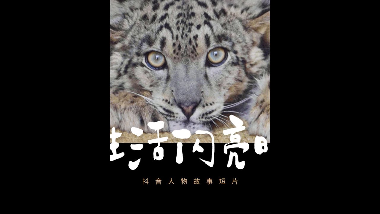 第三期｜生于西野：在西野，生命是方舟。游向彼此，也创造希望。@西宁野生动物园  #生活闪亮时2025#抖音人物故事#中国夏都#雪豹之都